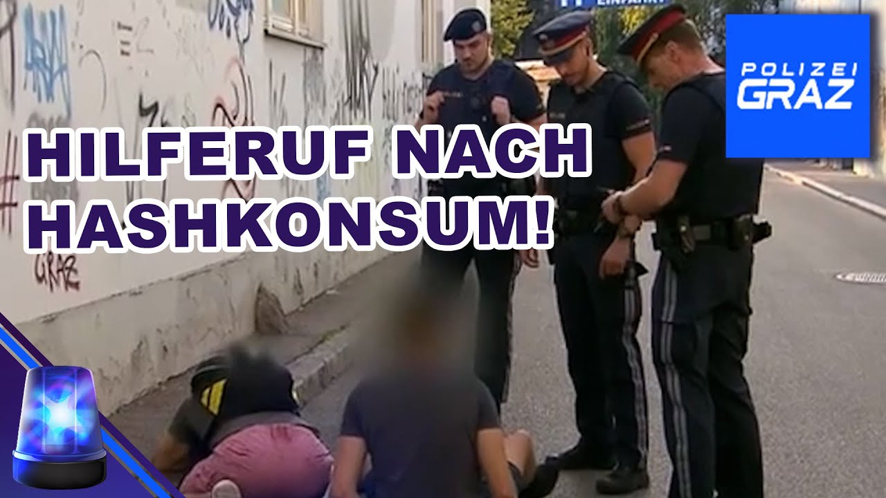 HASHMUFFINS sorgen für Chaos – Polizei muss eingreifen! 🧁| Polizei Graz - Radau in Karlau | ATV