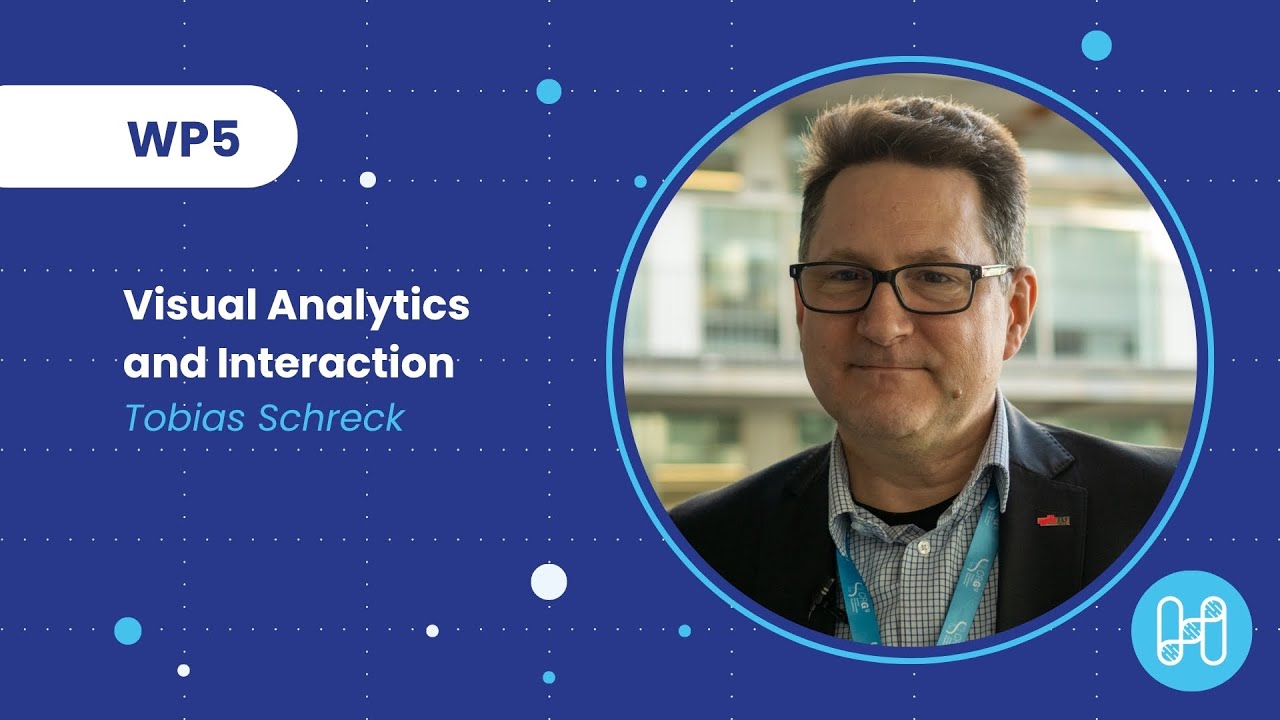 Work Package 5: Visual Analytics and Interaction