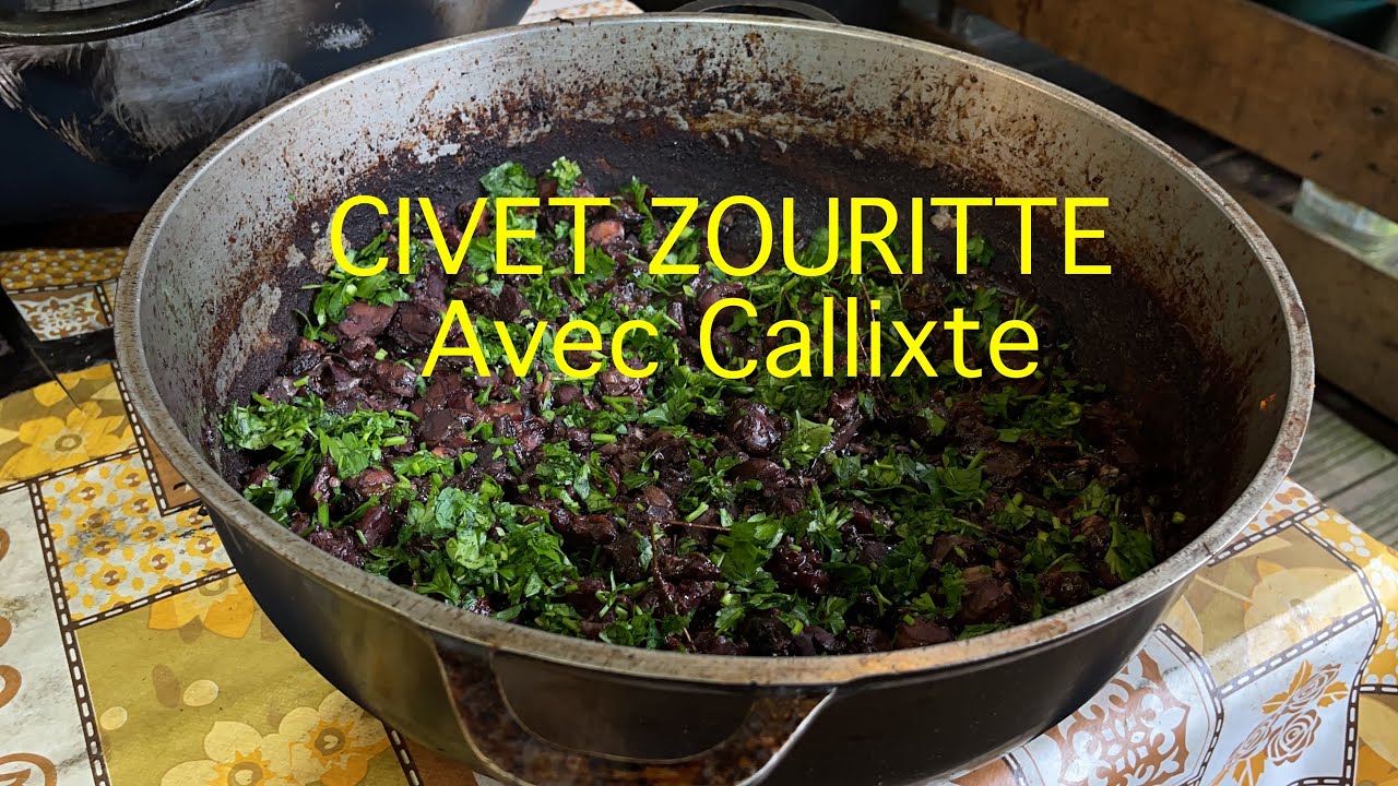 Le vrai civet de zouritte ou ouritte de callixte sur Kanal Austral.Tv