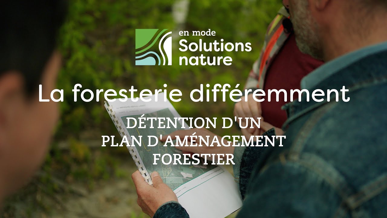 En mode Solutions nature - La foresterie différemment: le plan d'aménagement forestier