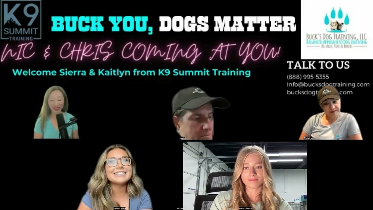 Episode 6 Balanced Training vs Positive