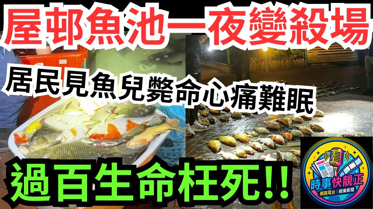 【魚池變殺場】將軍澳景林邨洗魚池疑氣泵出問題!致過百條魚枉死 !居民見大批魚兒斃命心痛難眠!警列虐待動物!#全城熱話 #網絡熱話 #社會時事 #社會熱話 #時事 #社會新聞  #港聞  #新聞簡報