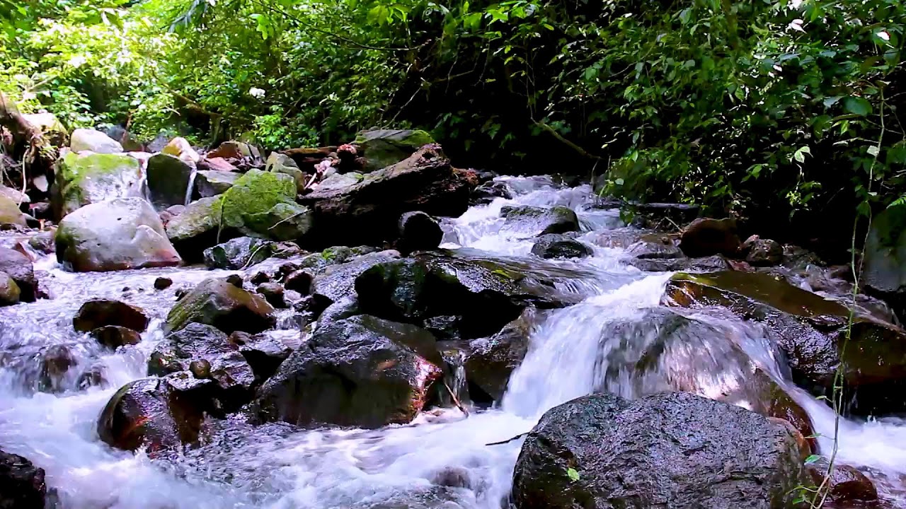 Mountain River Flowing Water Sounds for Relaxation, Natural White Noise for Calm Moments
