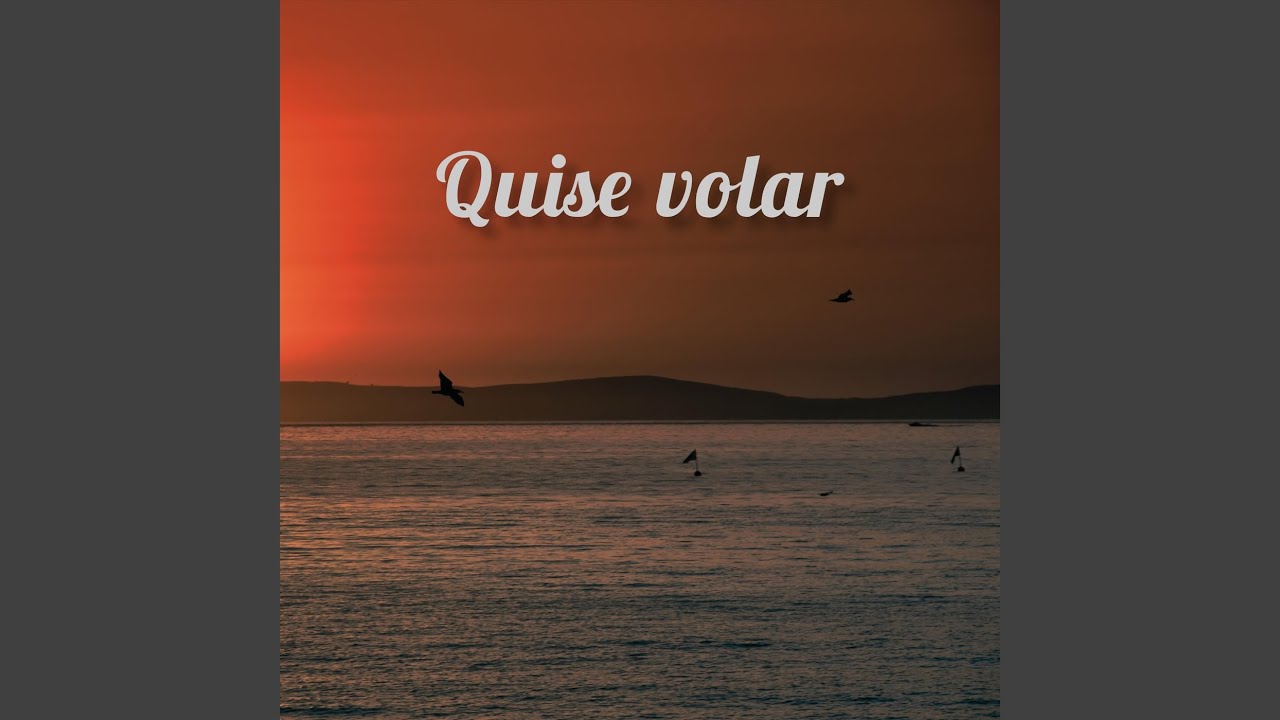 Quise Volar