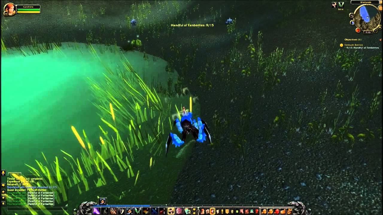 Fenbush Berries Quest - World of Warcraft