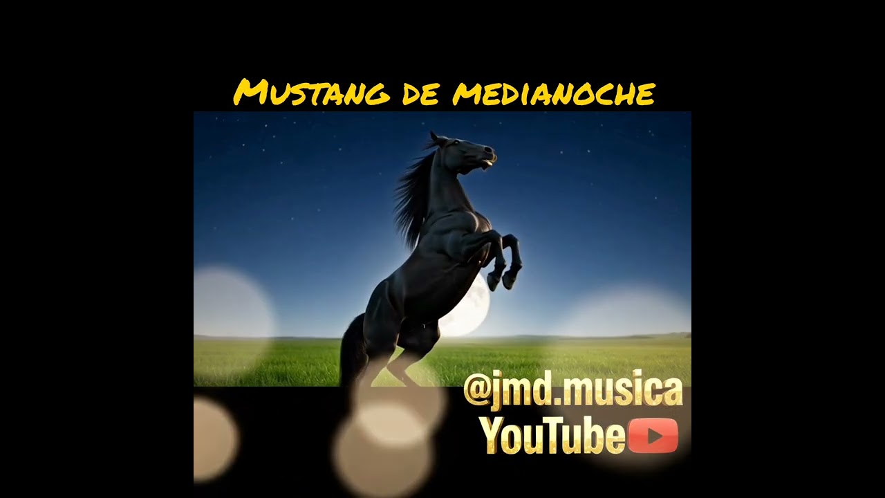 Mustang de medianoche 