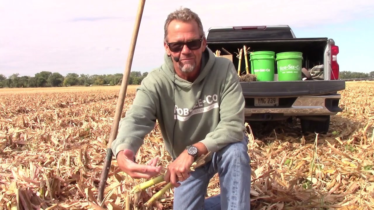 On the Ground - Residue Management