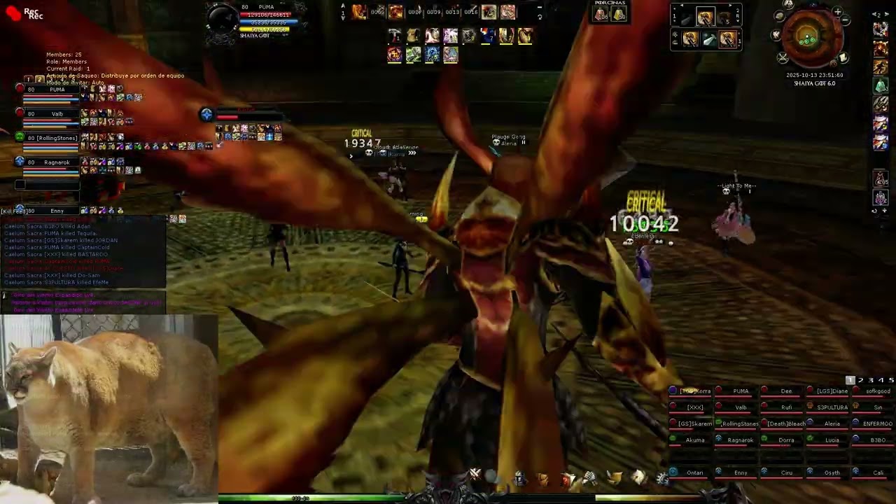 Shaiya Game Of Thrones Fenix Battle (US TIME PVP server)