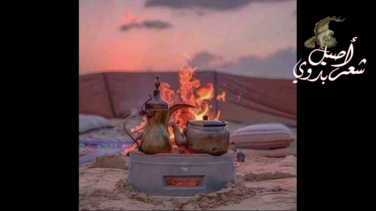 قصيدة بعنوان لو الزمن بك مال