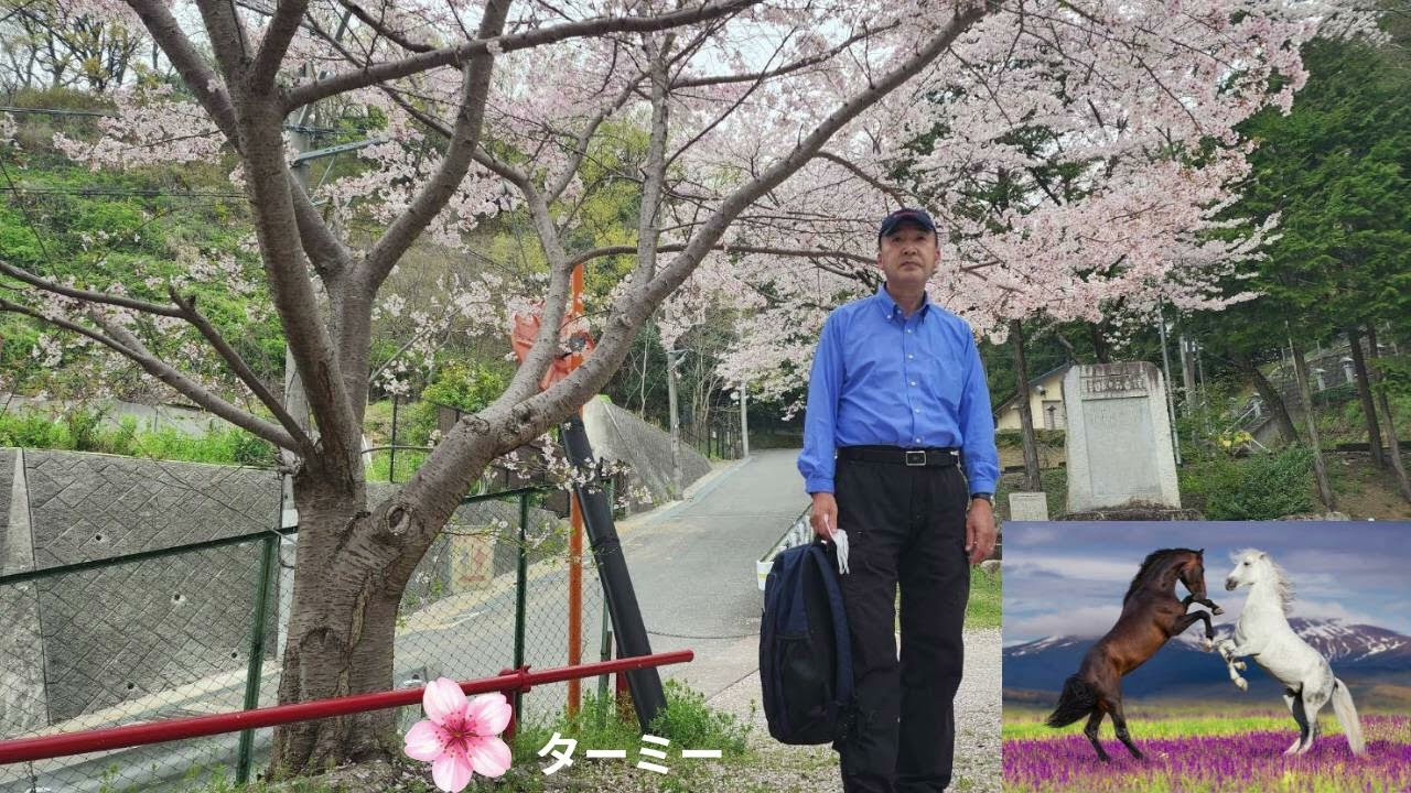 湯島の白梅