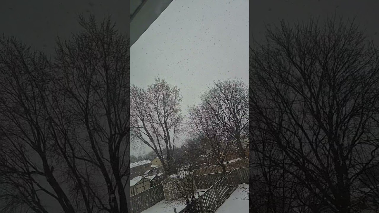 Snow flakes in slow motion