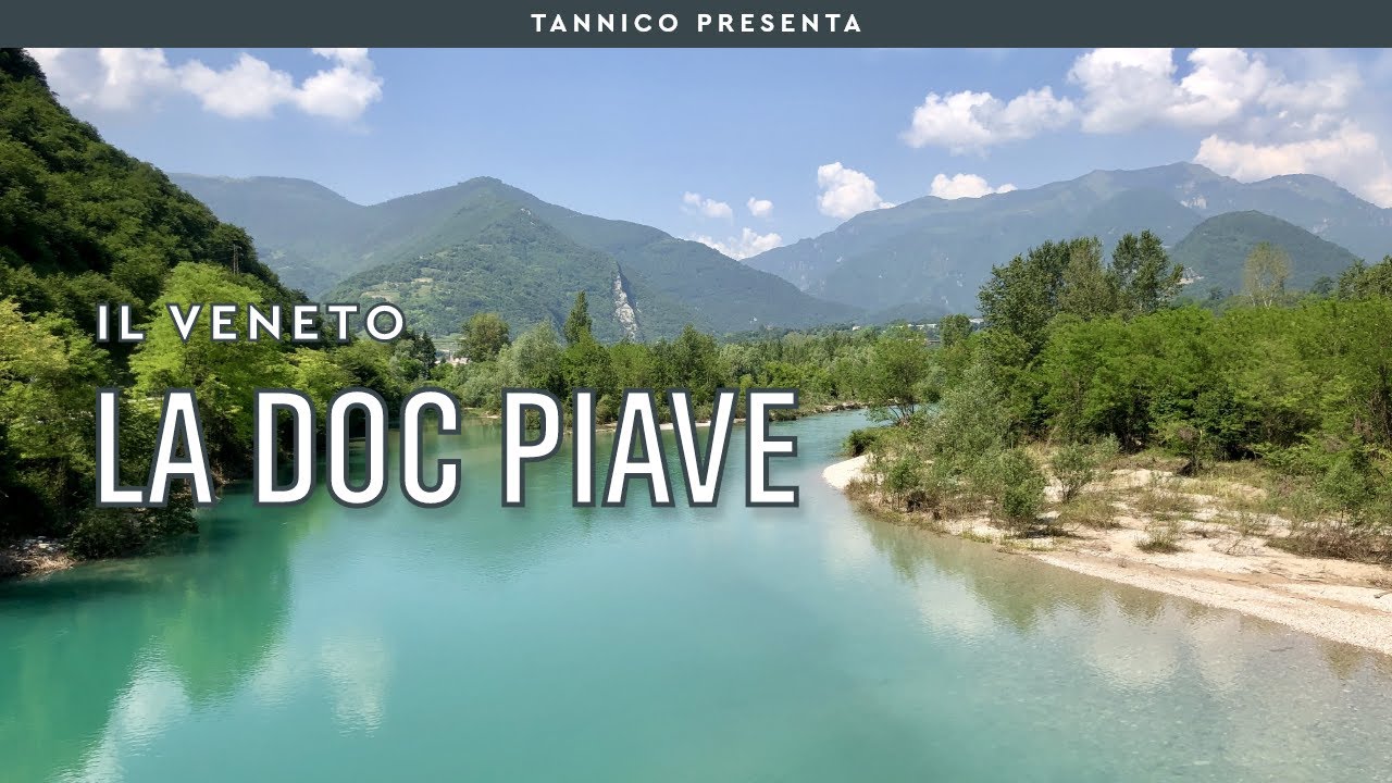 La DOC Piave tra autoctono e alloctono | Tannico Flying School