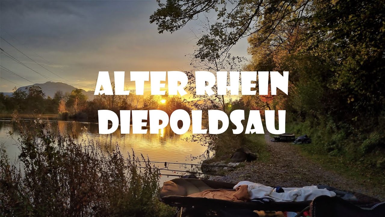 🐟Alter Rhein Diepoldsau Fischen Vlog🐟
