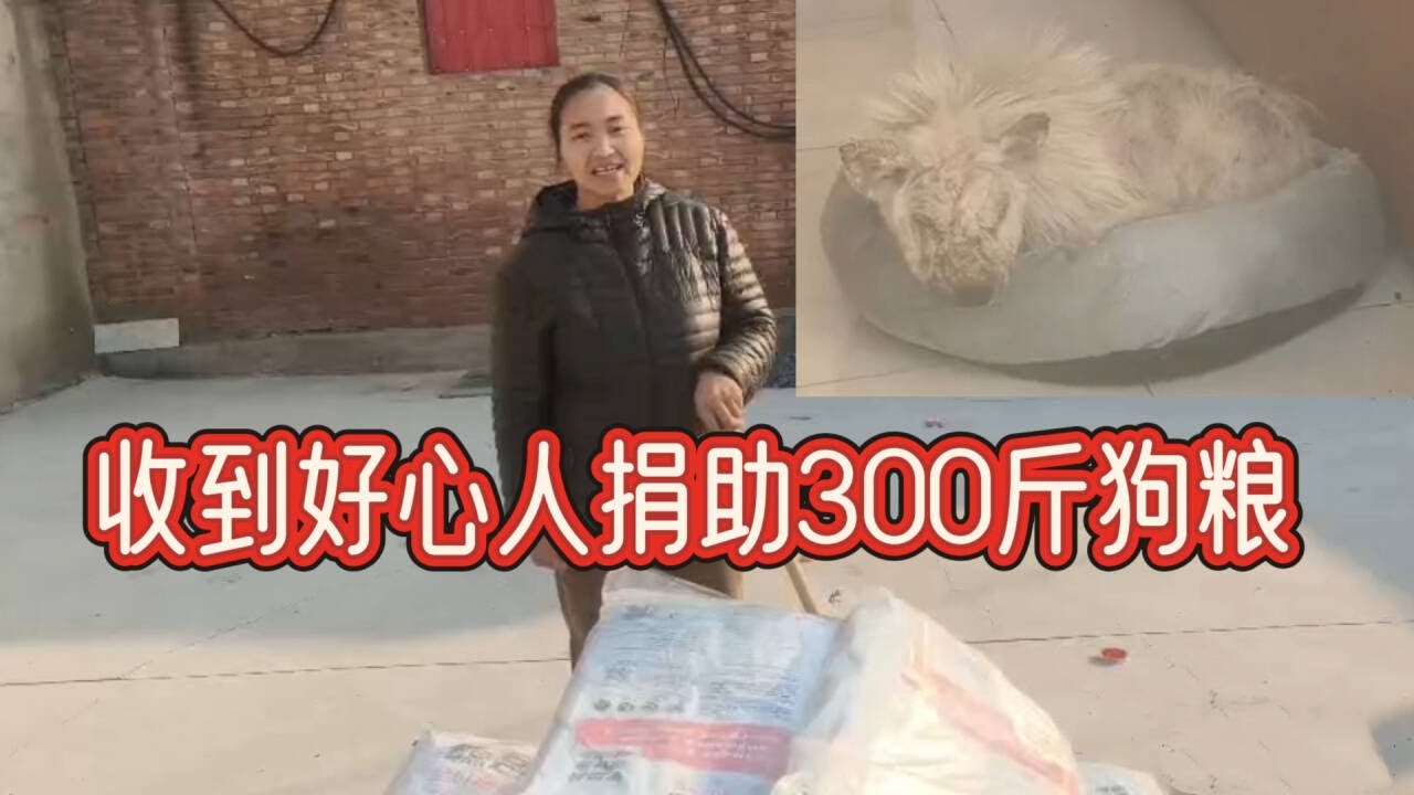 2026-2-4 Aunt He from Tianjin and her stray dog 今天收到好心人给帮助的300斤狗粮，非常感谢好心人的信任。