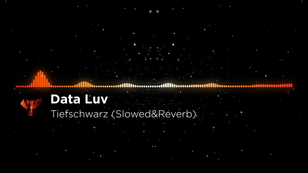 Data Luv - Tiefschwarz (Slowed&Reverb)