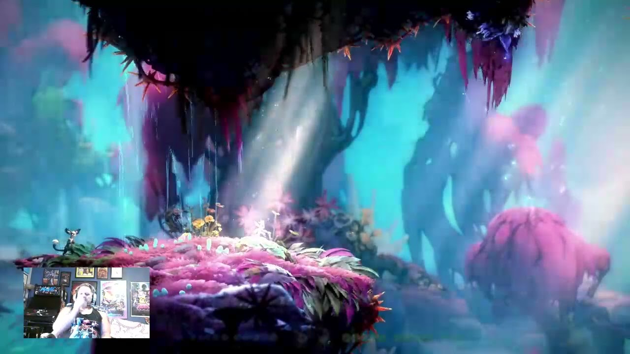 Retr0nathan Tackles Ori and the Will of the Wisps - Pt 17
