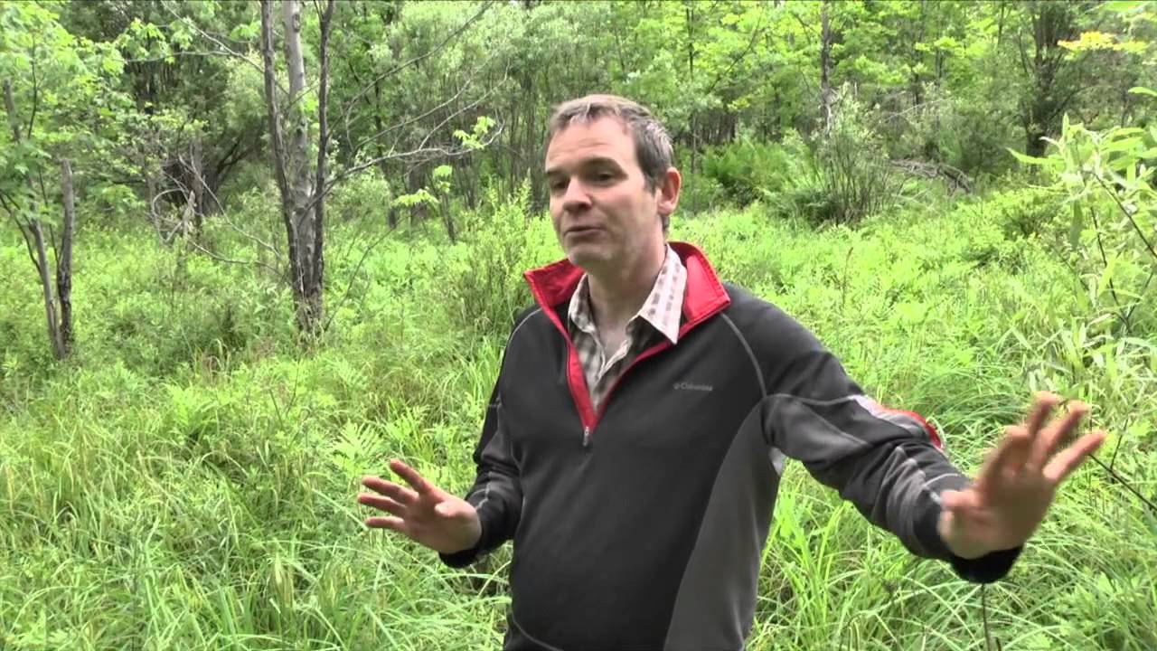 Comment reconnaitre un milieu humide et quoi faire avec