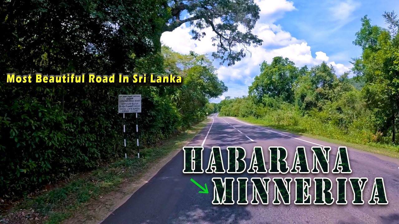 Habarana to Minneriya Road 🇱🇰 | හබරණ - මින්නේරිය පාර 🌿 Scenic POV Bike Ride Sri Lanka 💖