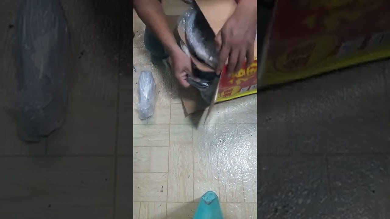 Unboxing Pressure Cooker 11 Liter Capacity