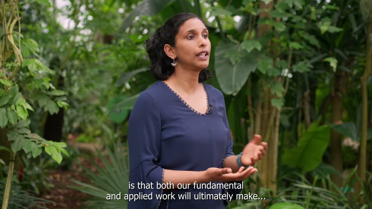 Rashmi Sasidharan, Professor Plant Stress Resilience