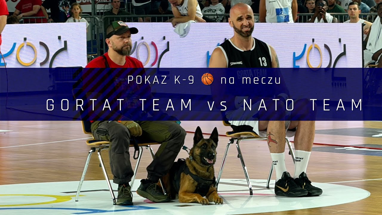 Wielki mecz Gortat TEAM vs NATO TEAM 🏀 Pokaz K-9 DOG PROTECTION