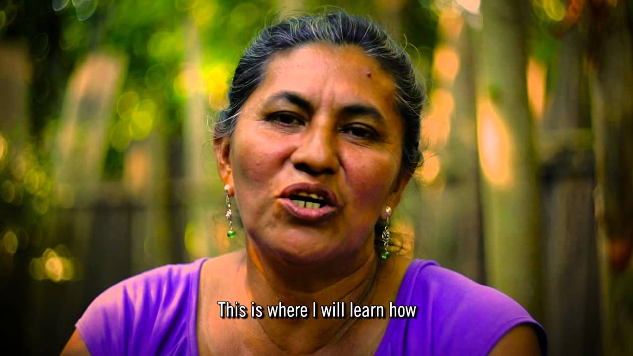 The Journey from Wild Cacao to Sweet Chocolate