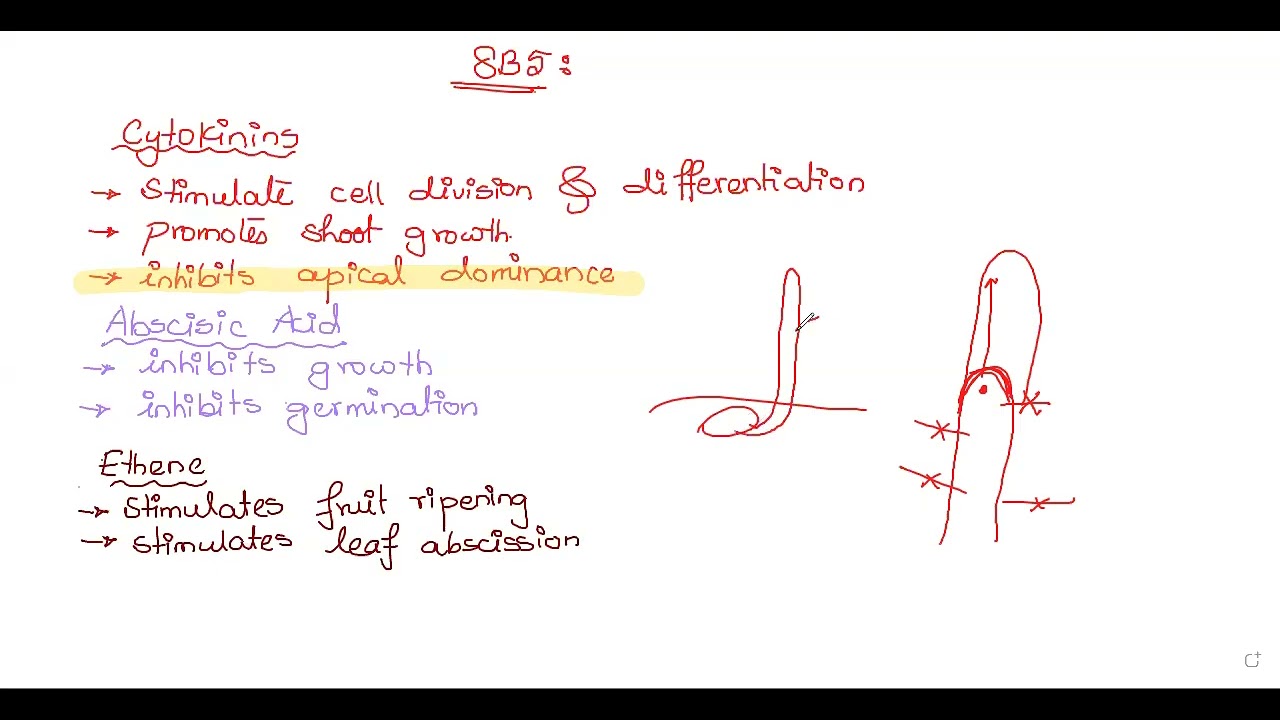 Lecture 101