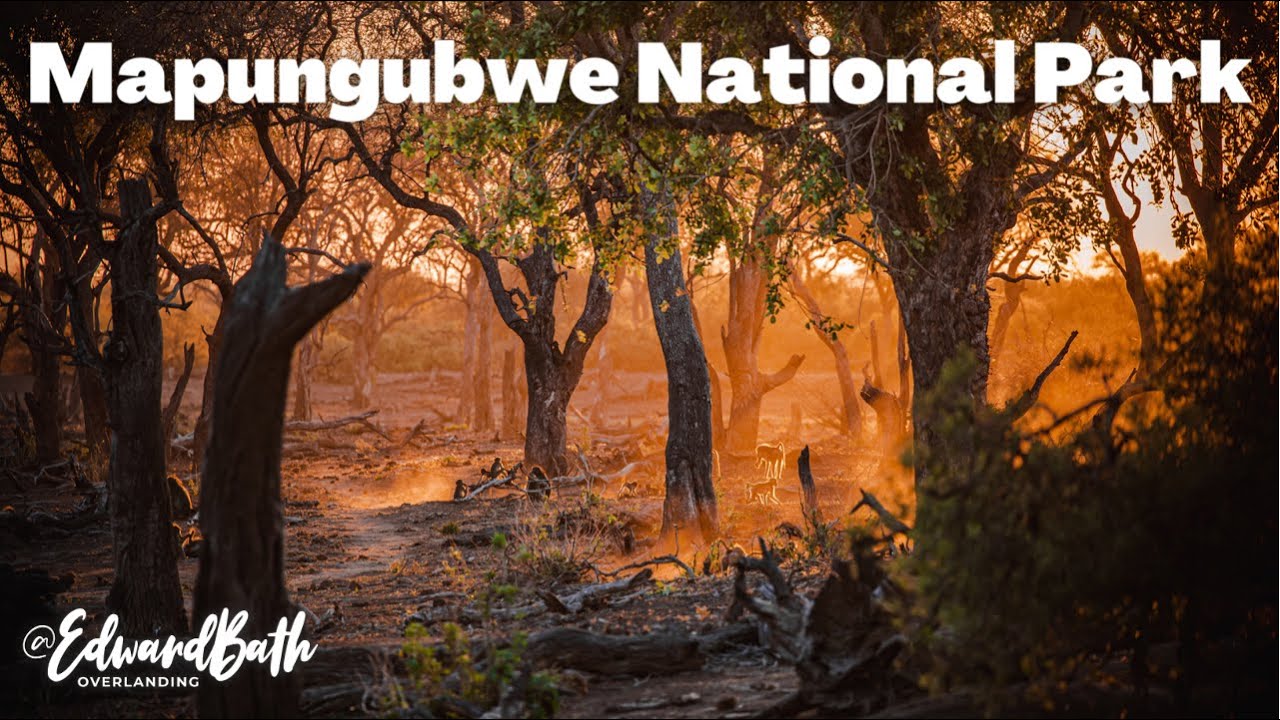 In Search Of Africa’s Giants | Mapungubwe National Park | Limpopo Episode 2