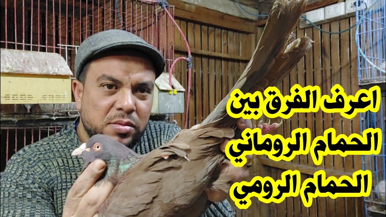 أعرف الفرق بين الحمام الروماني والحمام الرومي وهنتكلم عن الأسعار بالتفصيل