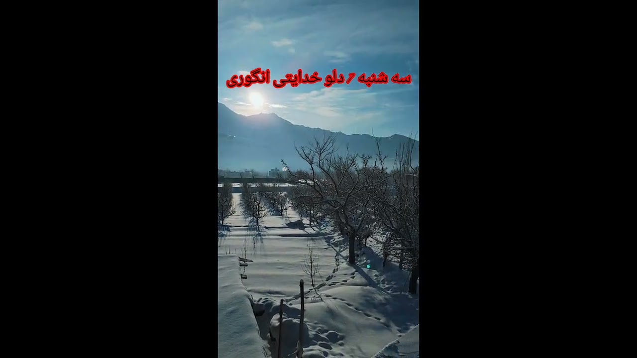 سیه شنبه هوای پاک انگوری 