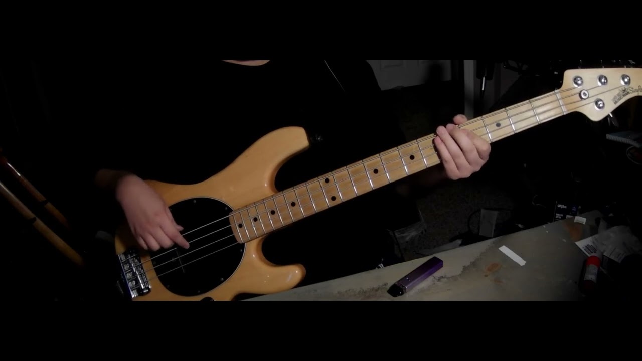 Y.M.C.A - Village People | Bass Cover