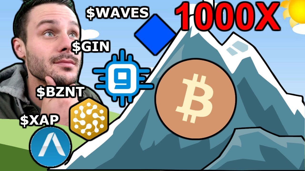 Path to 1000X: Masternodes: $GIN $XAP | Platforms: $WAVES $BZNT--Underrated Cryptos