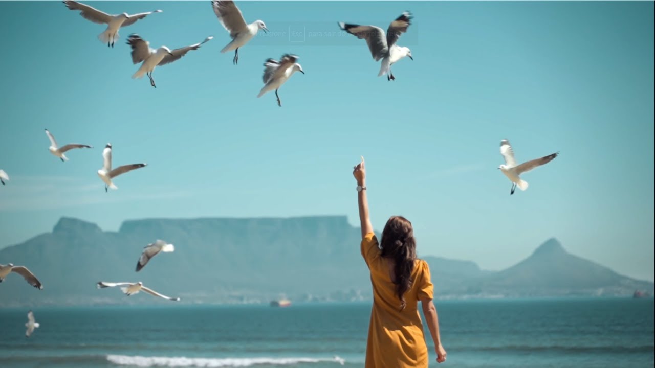 [8 HORAS] SOM DAS ONDAS DO MAR E GAIVOTAS! LINDO VÍDEO DE GAIVOTAS NO MAR E SOM PERFEITO DAS ONDAS!