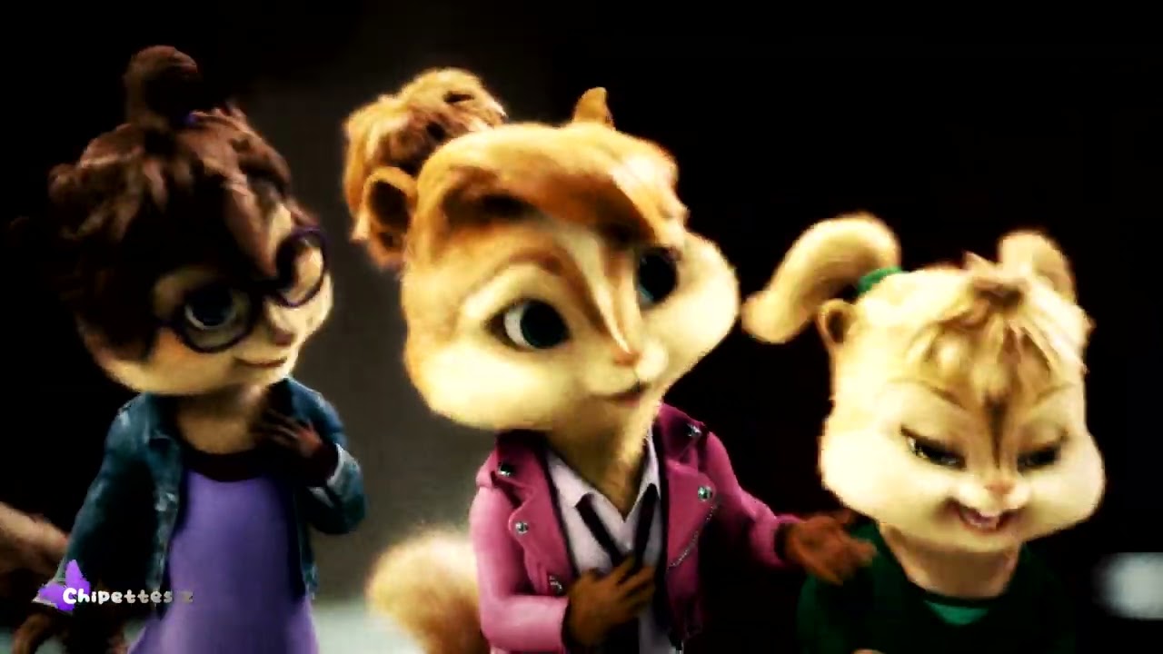 Chipettes - Focus