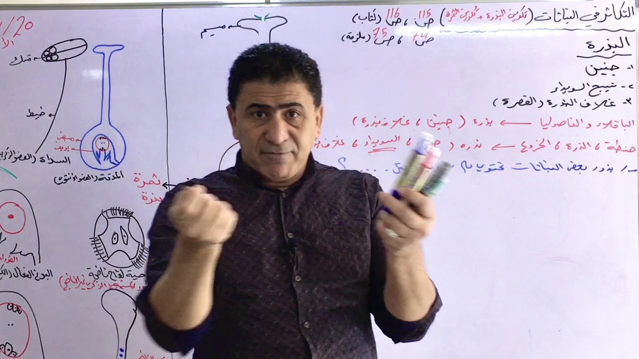 الفصل الثالث (التكاثر في النباتات) تكوين البذرة وتكوين الثمرة/محاضرة 13