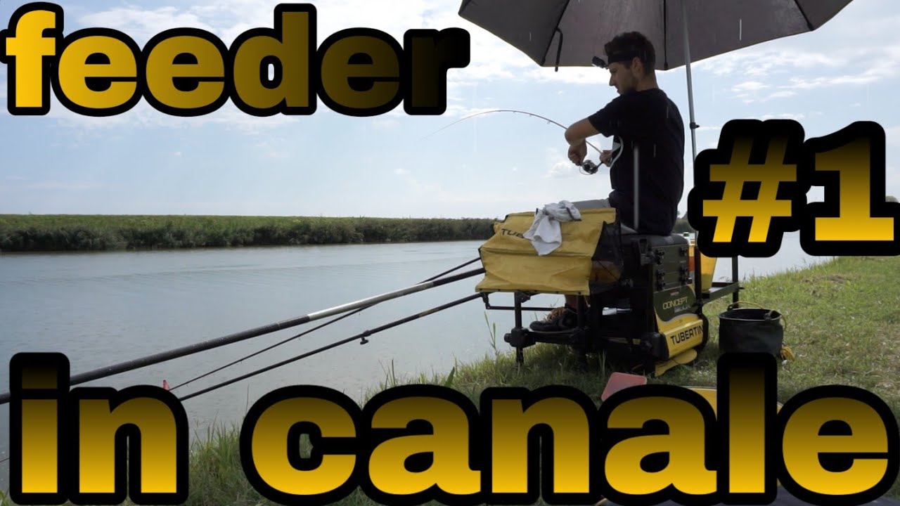 CARPE E BREME #1 feeder fishing in canale