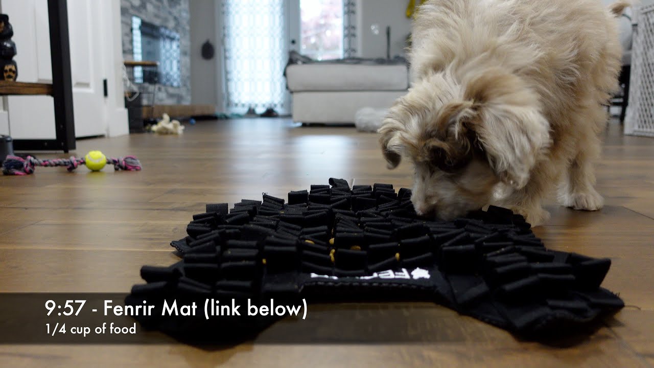 The Best Dog Feeding Snuffle Mats Tested