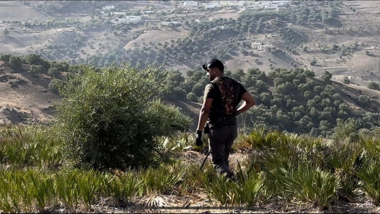 Chasse perdrix au Maroc 🇲🇦 Hunting in Morocco - قنص الحجل بالمغرب