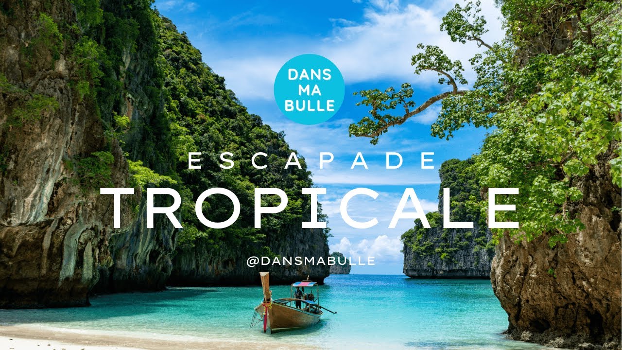 Escapade Tropicale : Relaxation douce au C&oelig;ur des &Icirc;les Paradisiaques 🏖️