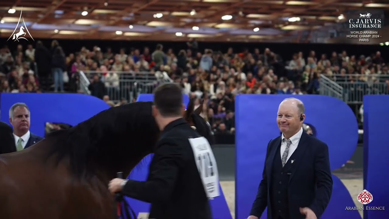 World Arabian Horse Champ  2024 Paris   Class 6B