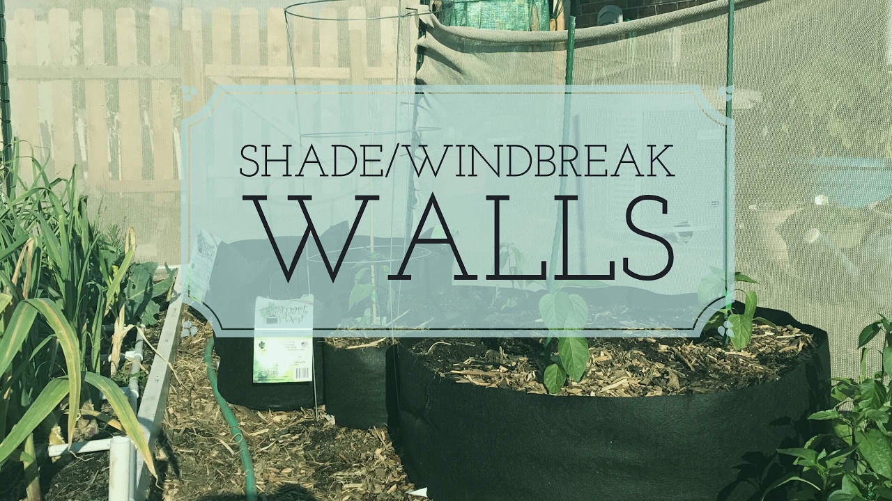 Building an Easy DIY Shade/Windbreak Wall