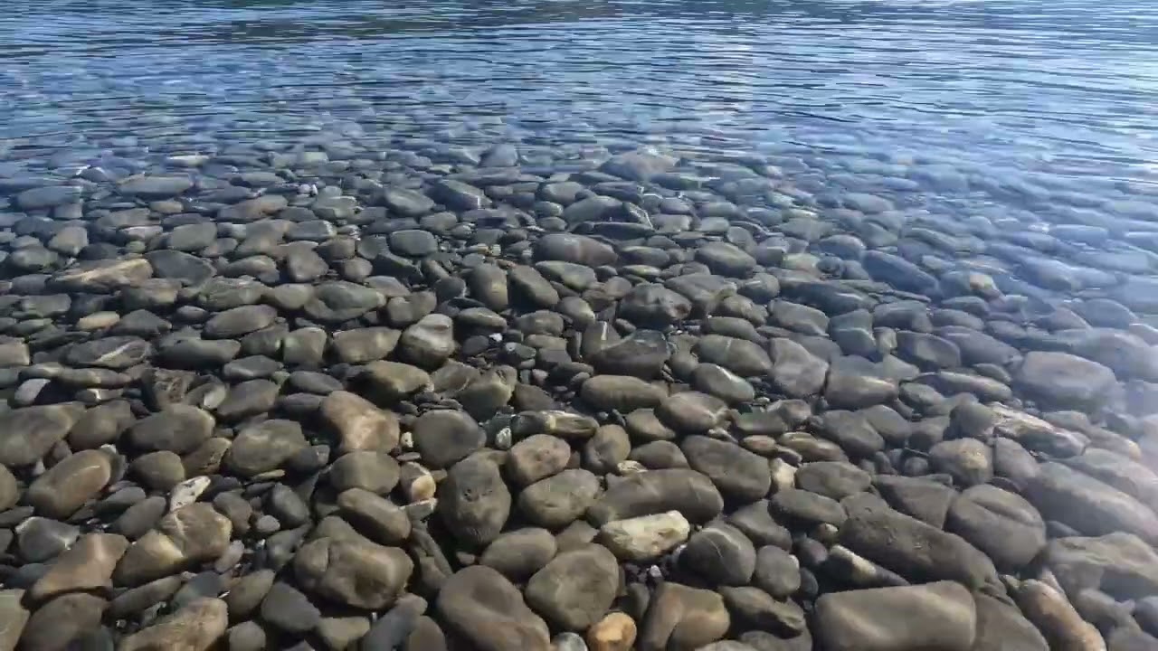 Reflection and Gratitude Guided Meditation