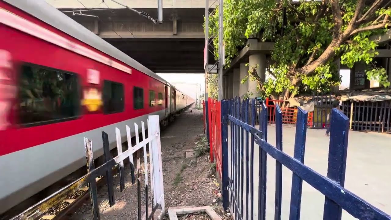 Aggressive 🔥 Push Pull Rajdhani