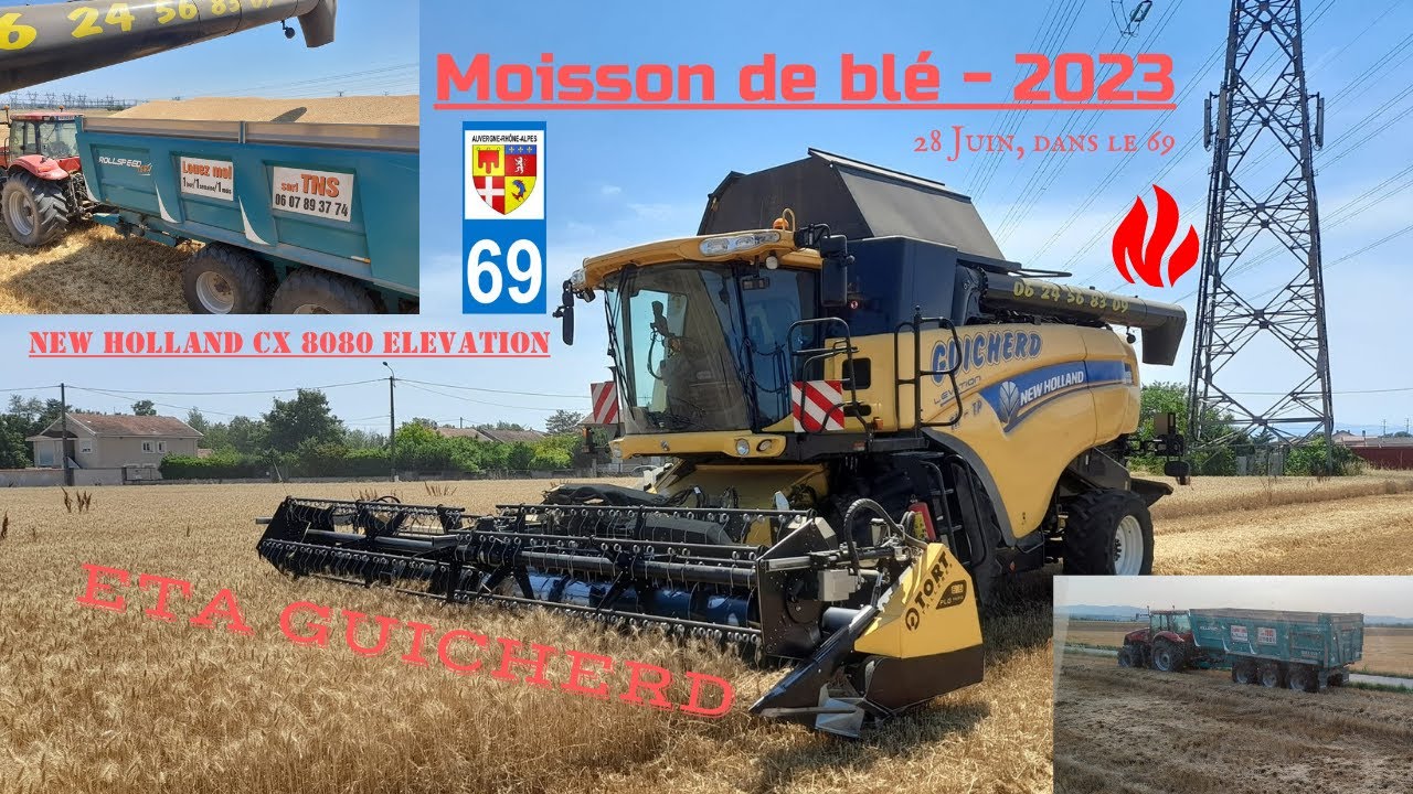 Moisson blé plaine de Lyon / ETA GUICHERD - 2023