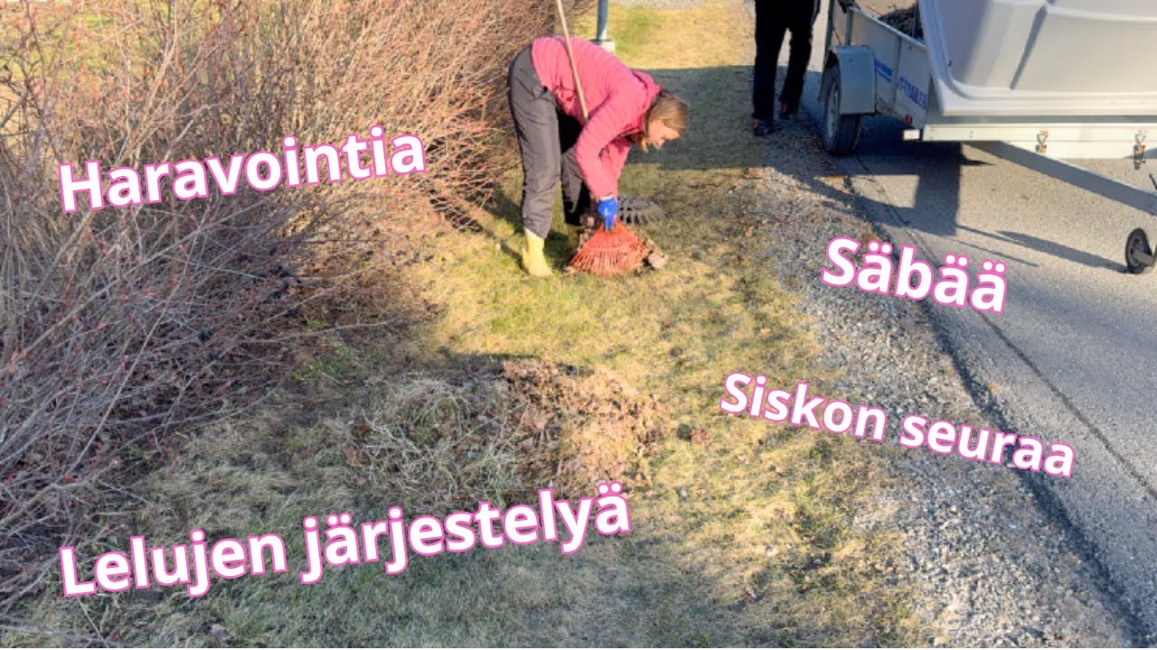 VIIKONLOPPU VLOGI