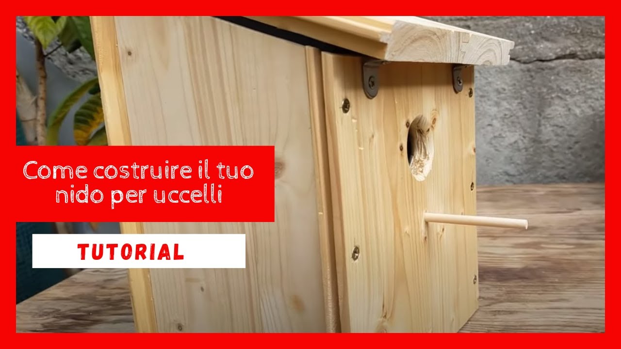 Come costruire il tuo nido per uccelli selvatici fai da te #faidate #legno #falegnameria #tutorial