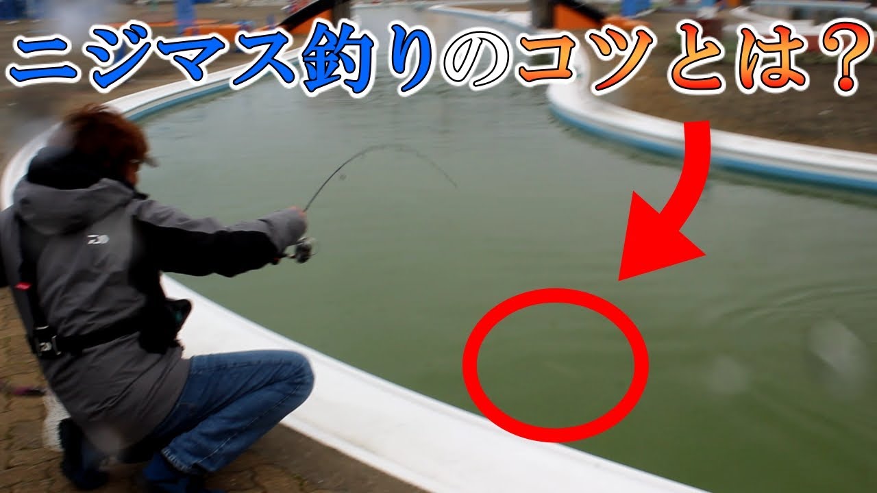 岸和田フィッシングパークでニジマスを釣るコツとは？【辻原伸弥のココ話！】