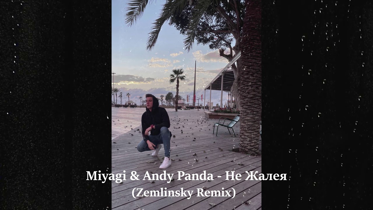 Miyagi & Andy Panda - Не Жалея (Zemlinsky Remix)