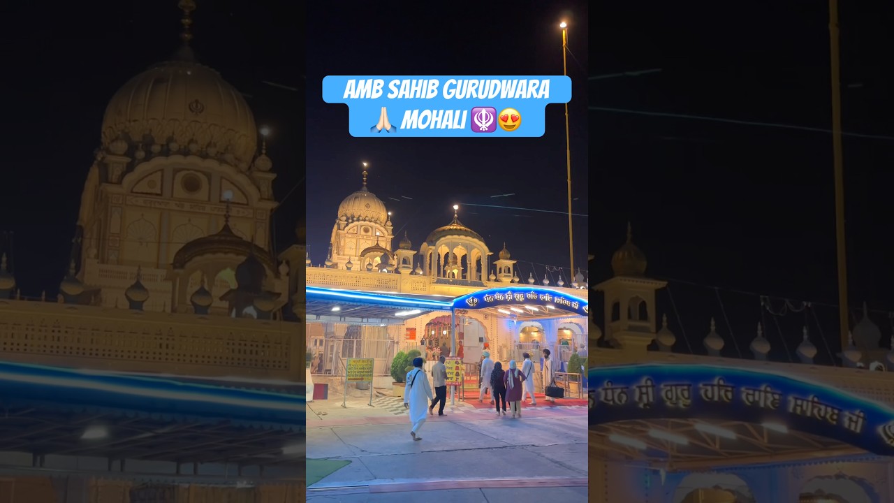 Gurudwara Amb Sahib, Mohali😍 #mohali #gurudwarasahib #ambsahib #punjab #chandigarh #waheguru