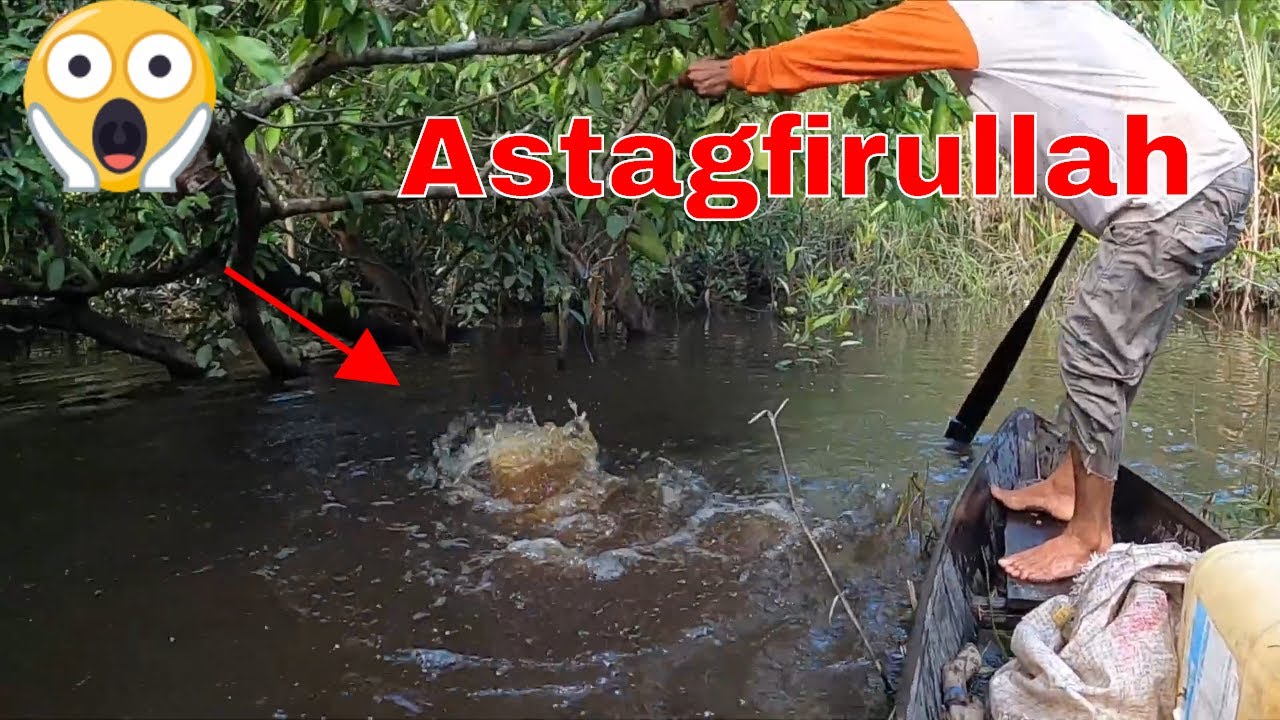 Panik Ketika Tajur Big Toman & Tapah Di Sambar Makhluk Wakanda Ini #230